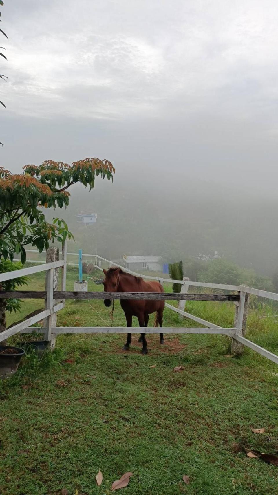 Phang Nga Viewpoint Kültér fotó